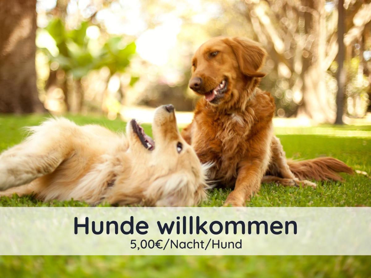 Appartamento Der Fuchsbau - Fewo Lepetit - Im Sonnigen Harz - Hunde Willkommen - 100M Bis Zum Wald - Free Wlan Bad Sachsa Esterno foto