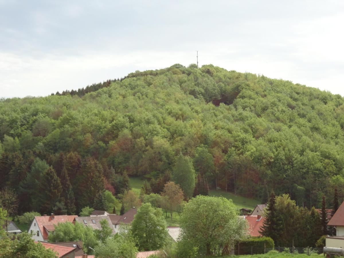 Appartamento Der Fuchsbau - Fewo Lepetit - Im Sonnigen Harz - Hunde Willkommen - 100M Bis Zum Wald - Free Wlan Bad Sachsa Esterno foto