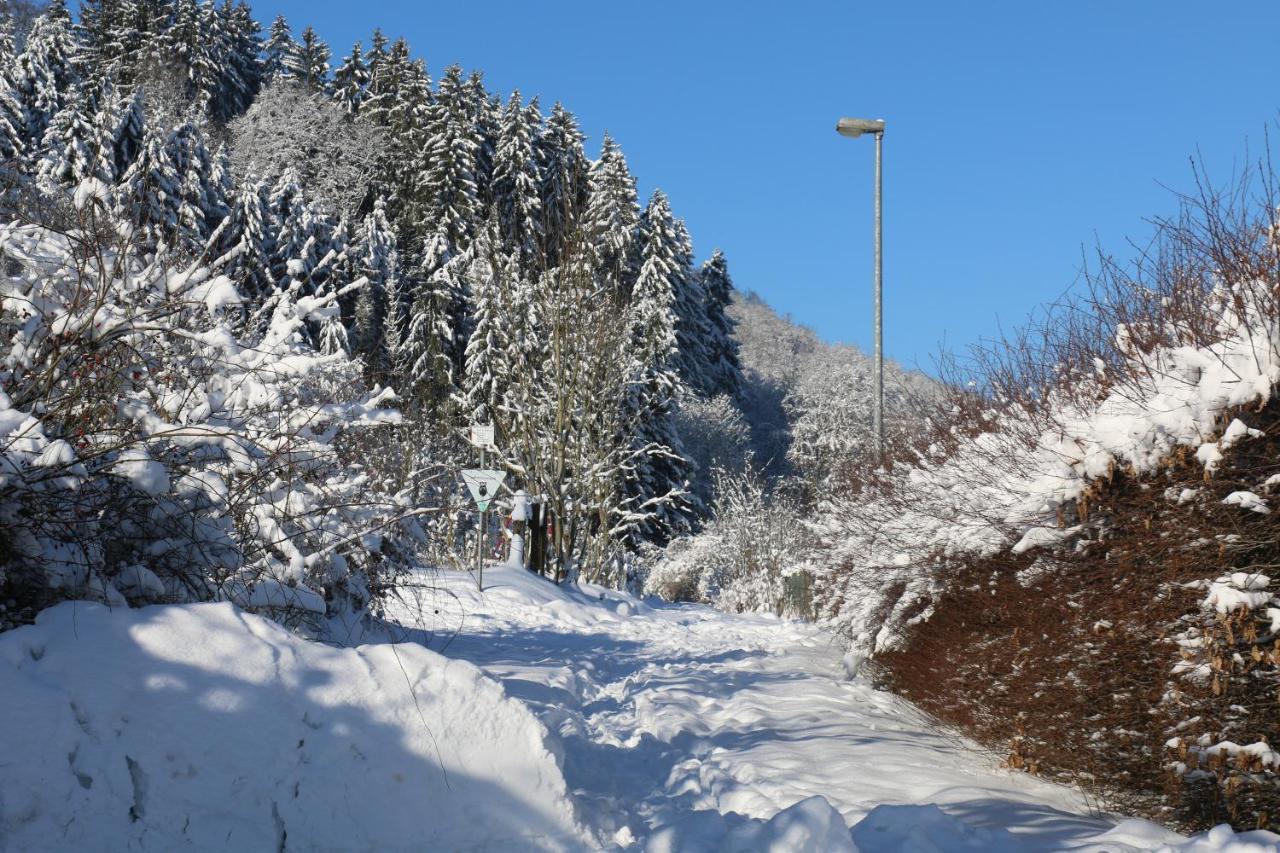 Appartamento Der Fuchsbau - Fewo Lepetit - Im Sonnigen Harz - Hunde Willkommen - 100M Bis Zum Wald - Free Wlan Bad Sachsa Esterno foto